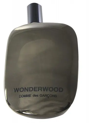 Best Smelling Woody Colognes
