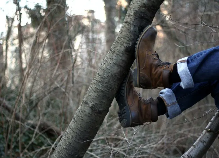 A photo of a boots stepping on a branch